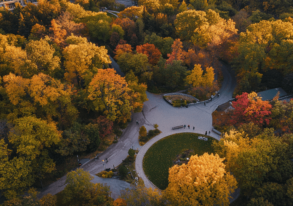 Découvrir la biodiversité du Mont-Royal : Un paradis pour les amoureux de la nature